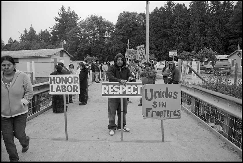 Washington migrant workers on strike