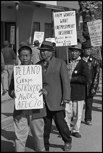 AWOC members picket during the grape strike in Delano. Photo by Harvey Richards, used by permission.
