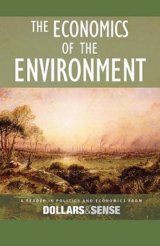 Economics of the Environment cover image